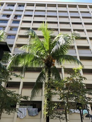 Blk 408 Yishun Avenue 6 (Yishun), HDB 4 Rooms #182737322
